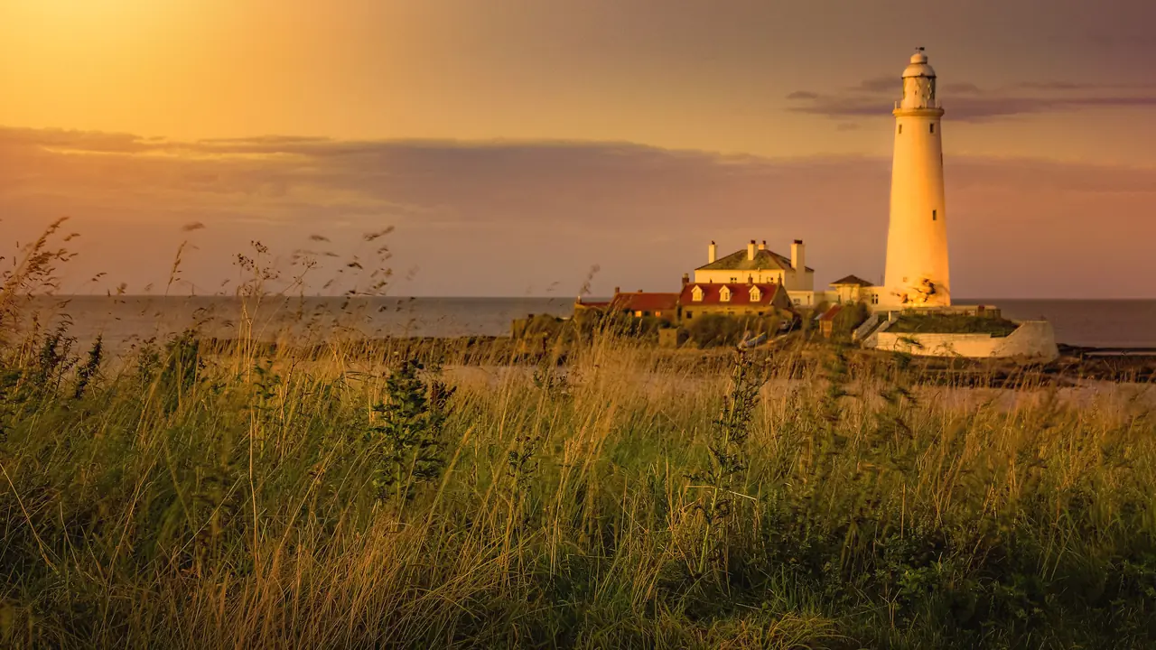 Example frame: a lighthouse in tall grass at golden hour